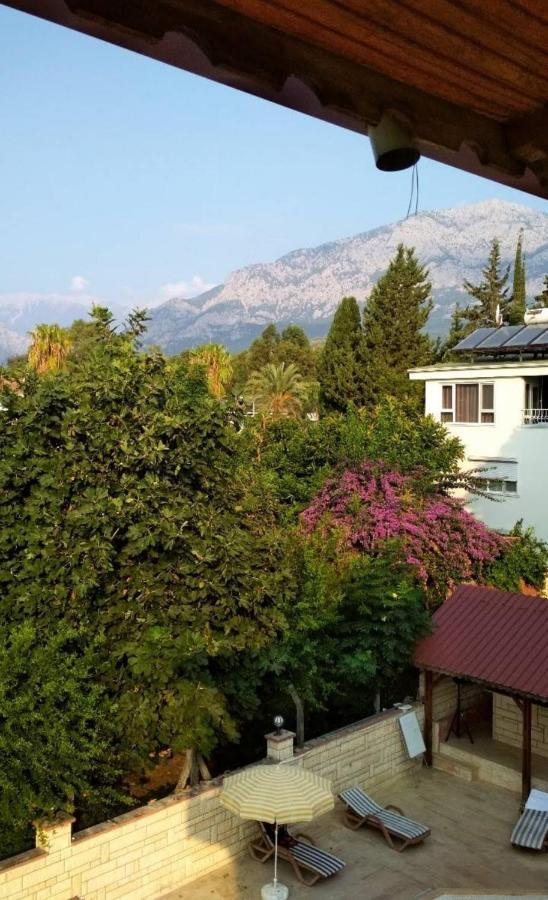 Kemer Star Hotel المظهر الخارجي الصورة
